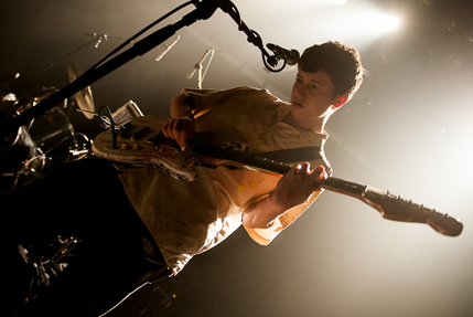 the wombats